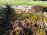 image of grave number 728726